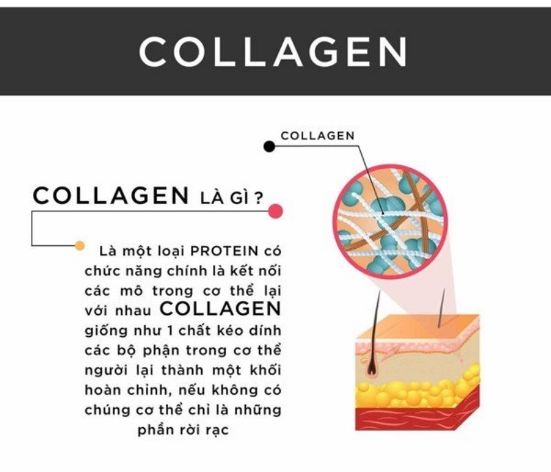 Bí quyết chăm sóc sức khỏe và làm đẹp da nhờ collagen