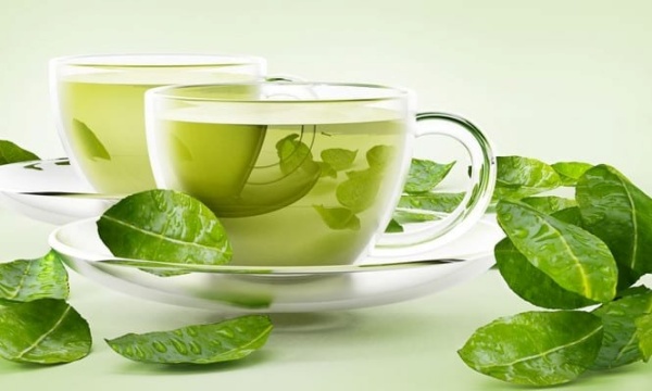Uống trà xanh mỗi ngày