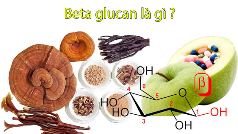 Beta Glucan là 1 chuỗi của các phân tử glucose