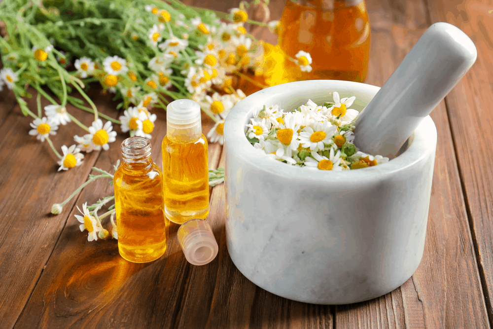 Tinh dầu hoa cúc công dụng làm đẹp và tác dụng đối với sức khỏe